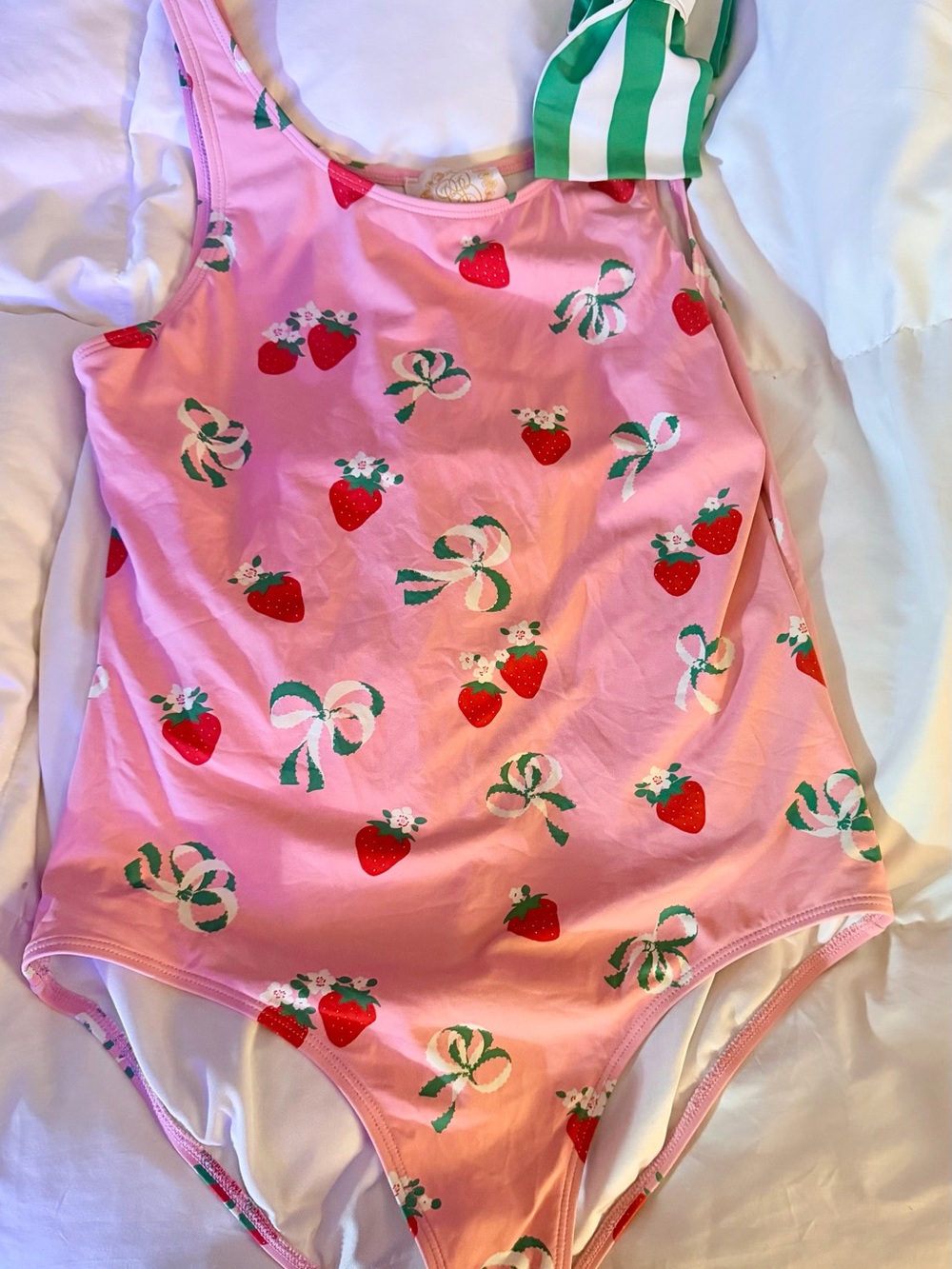 Beaufort Bonnet Company One-Piece strawberry Swimsuit